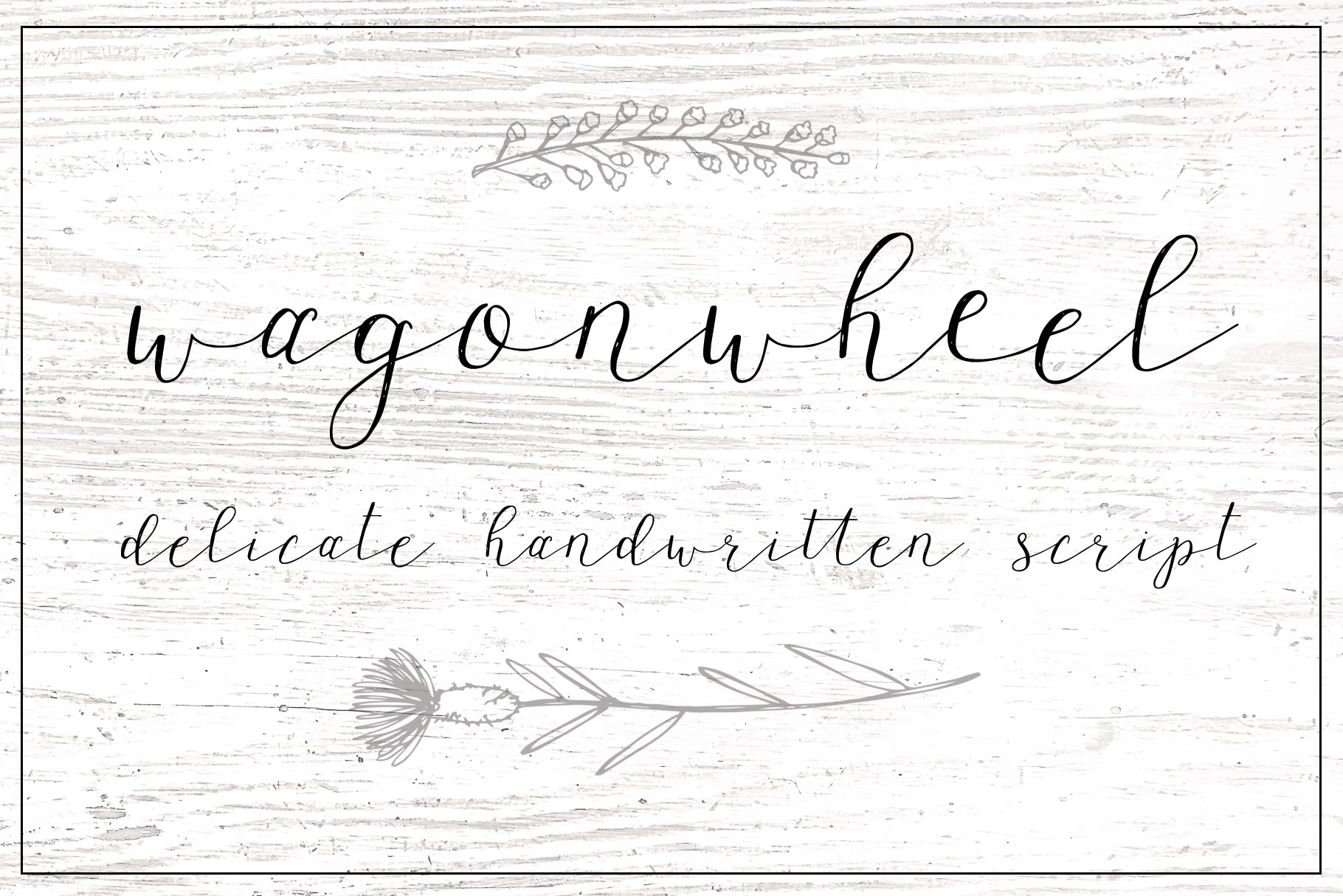 Wagon wheel Script Font cover image.