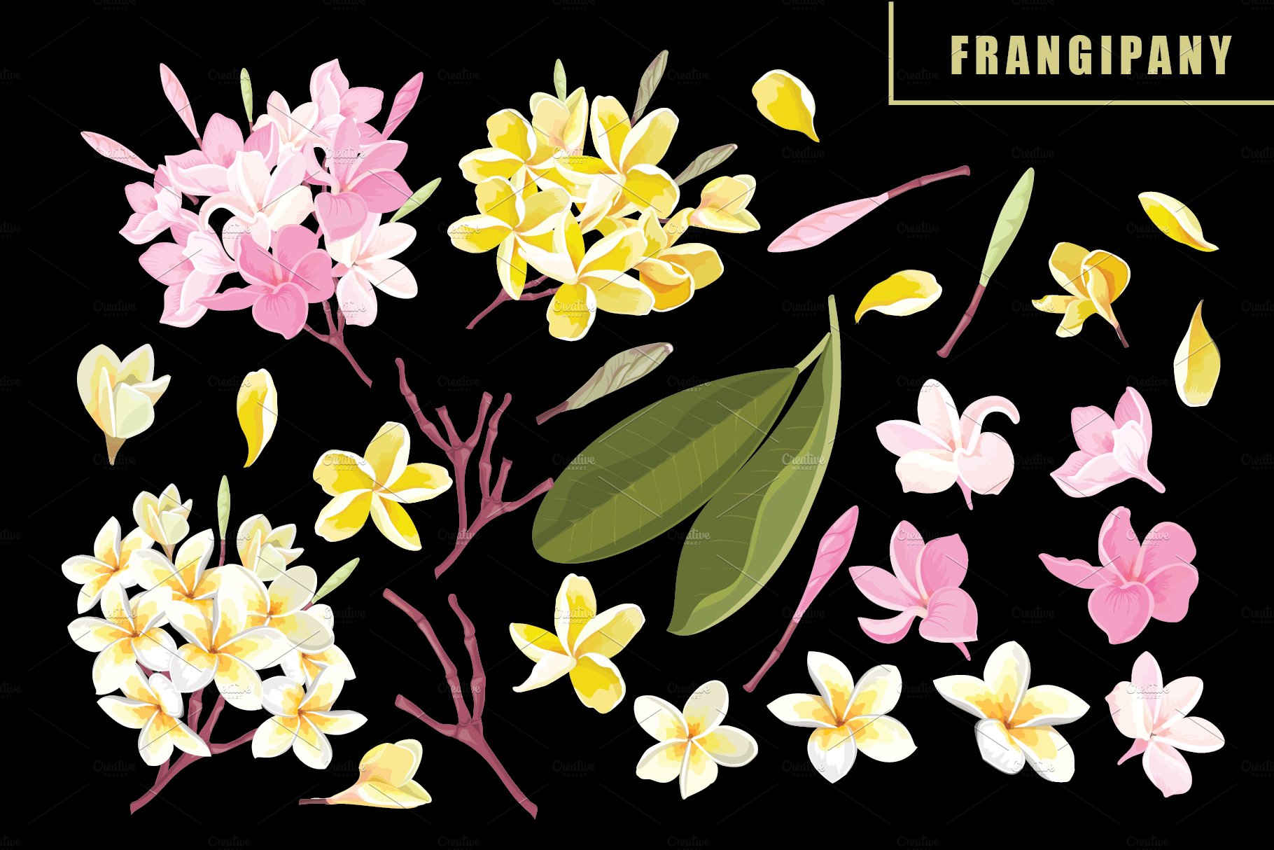 53 Floral brushes for Illustratorpreview image.