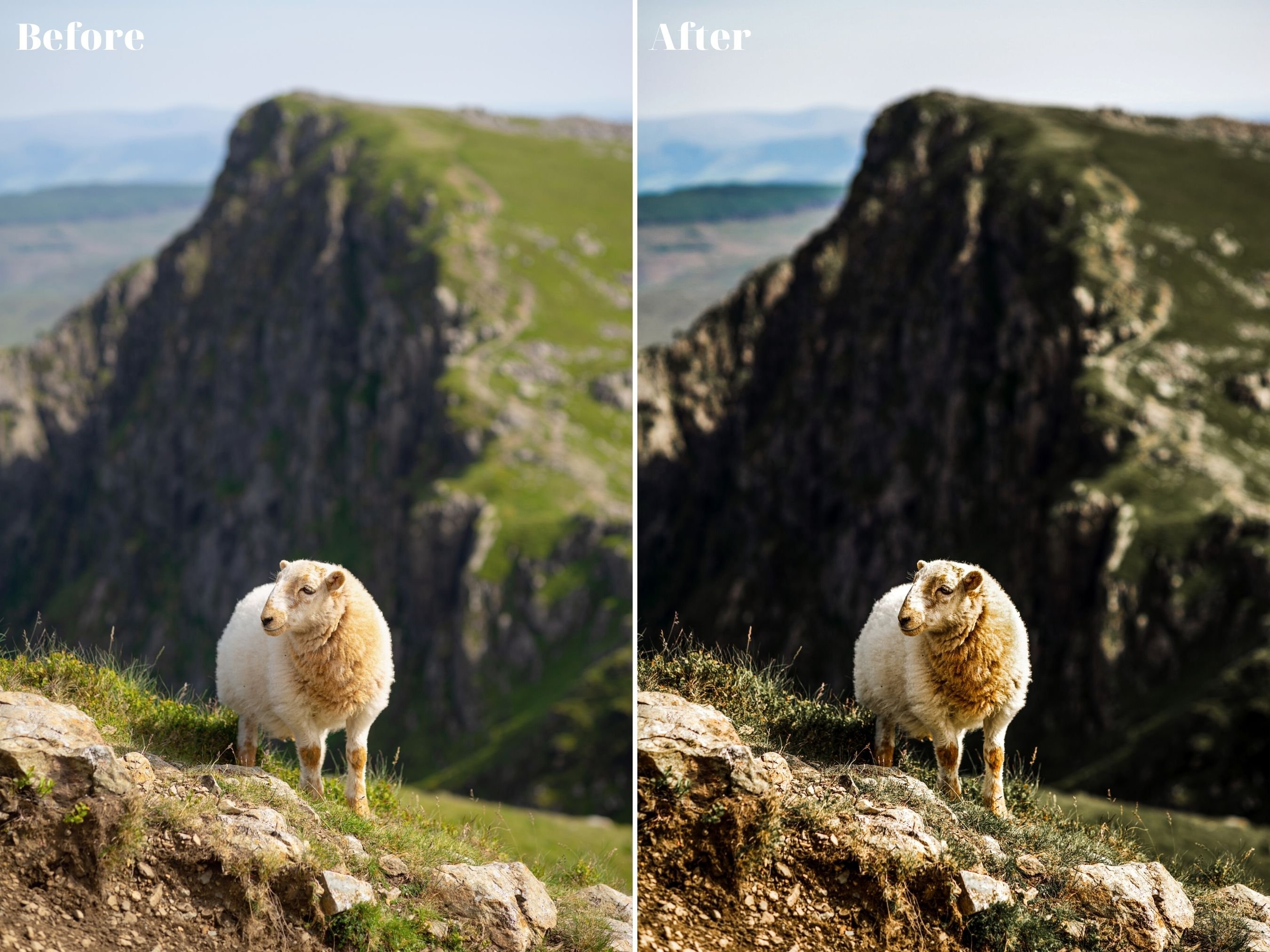 Wanderlust Lightroom Presets XMP/DNGpreview image.