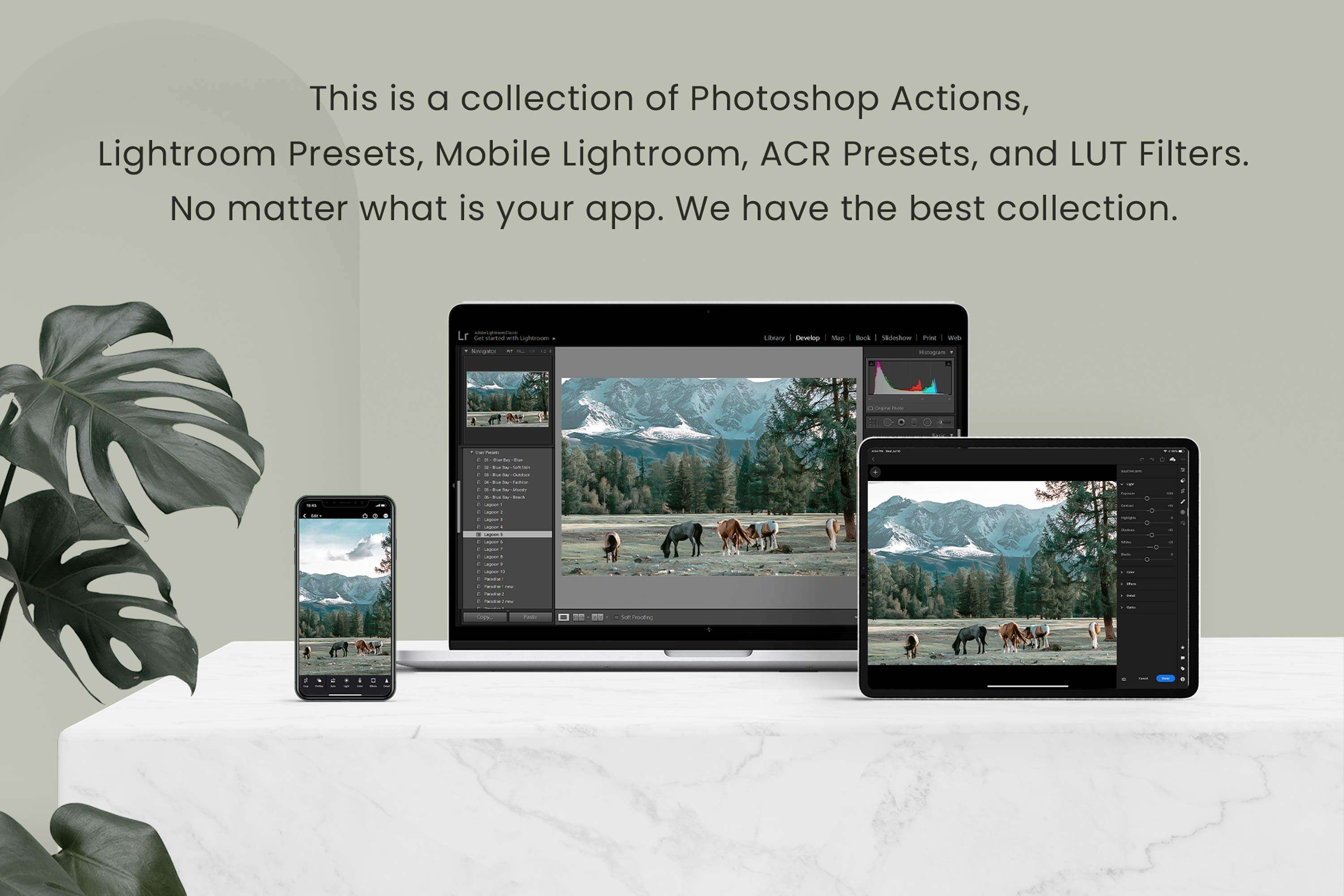 Wanderlust Lightroom Presets Desktoppreview image.