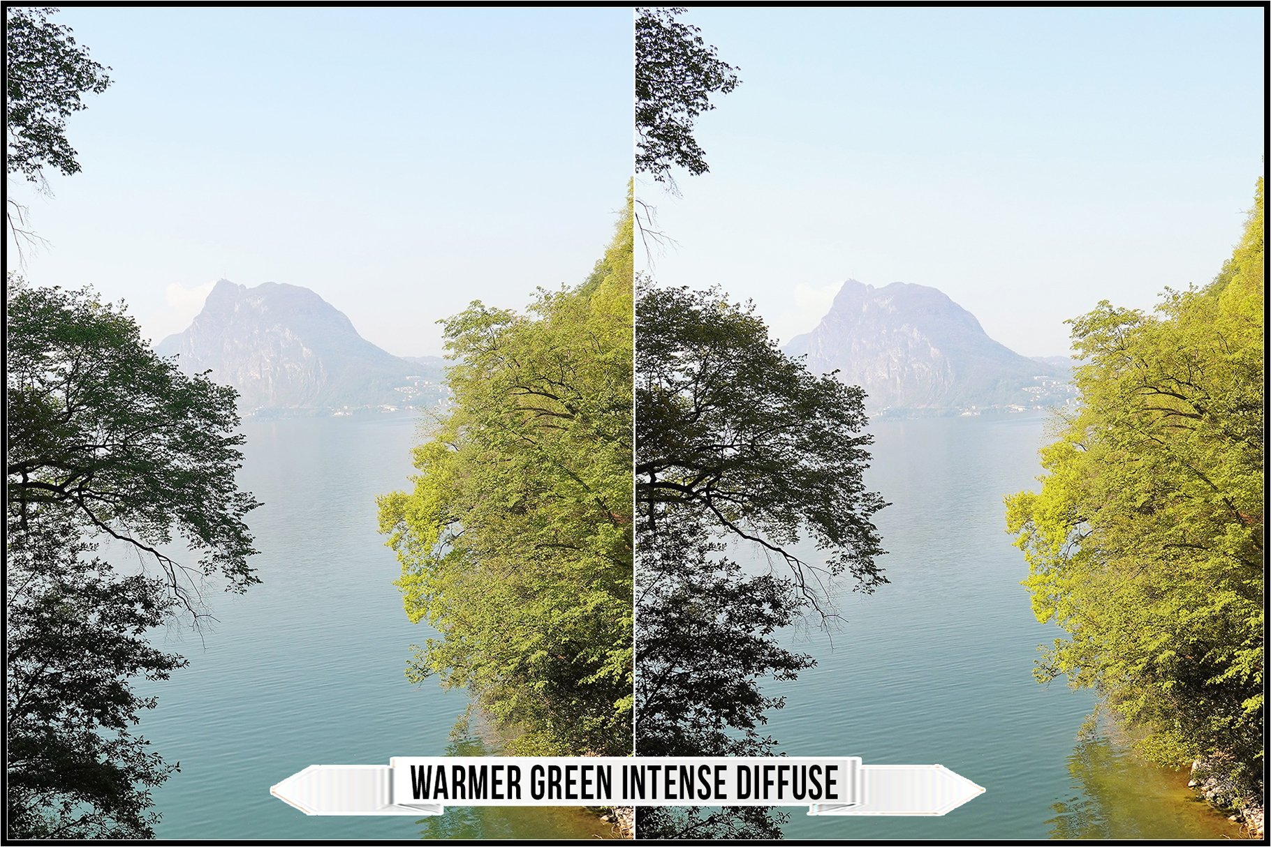 warmer green intense diffuse 974