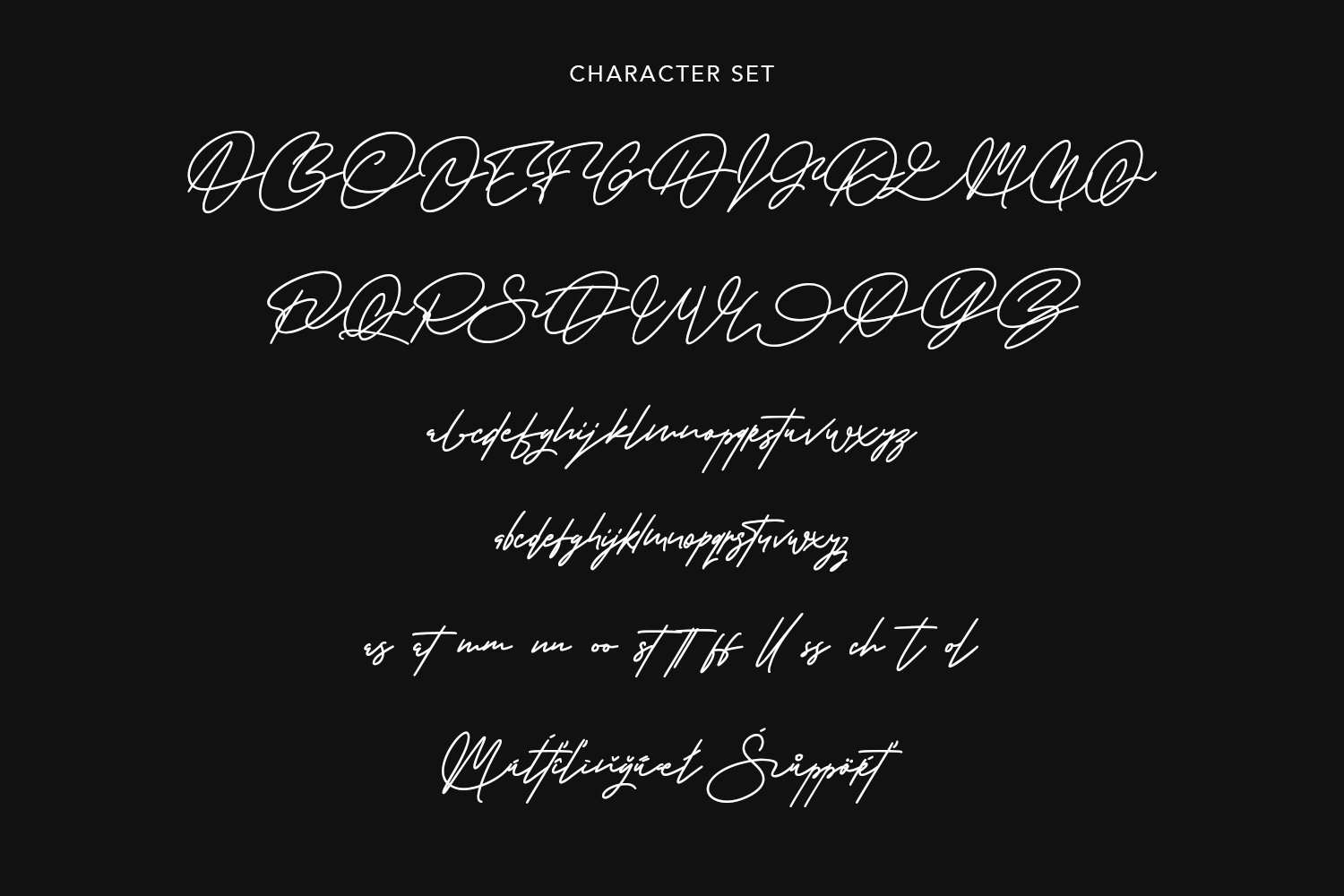 warwicks fancy signature font 5 342