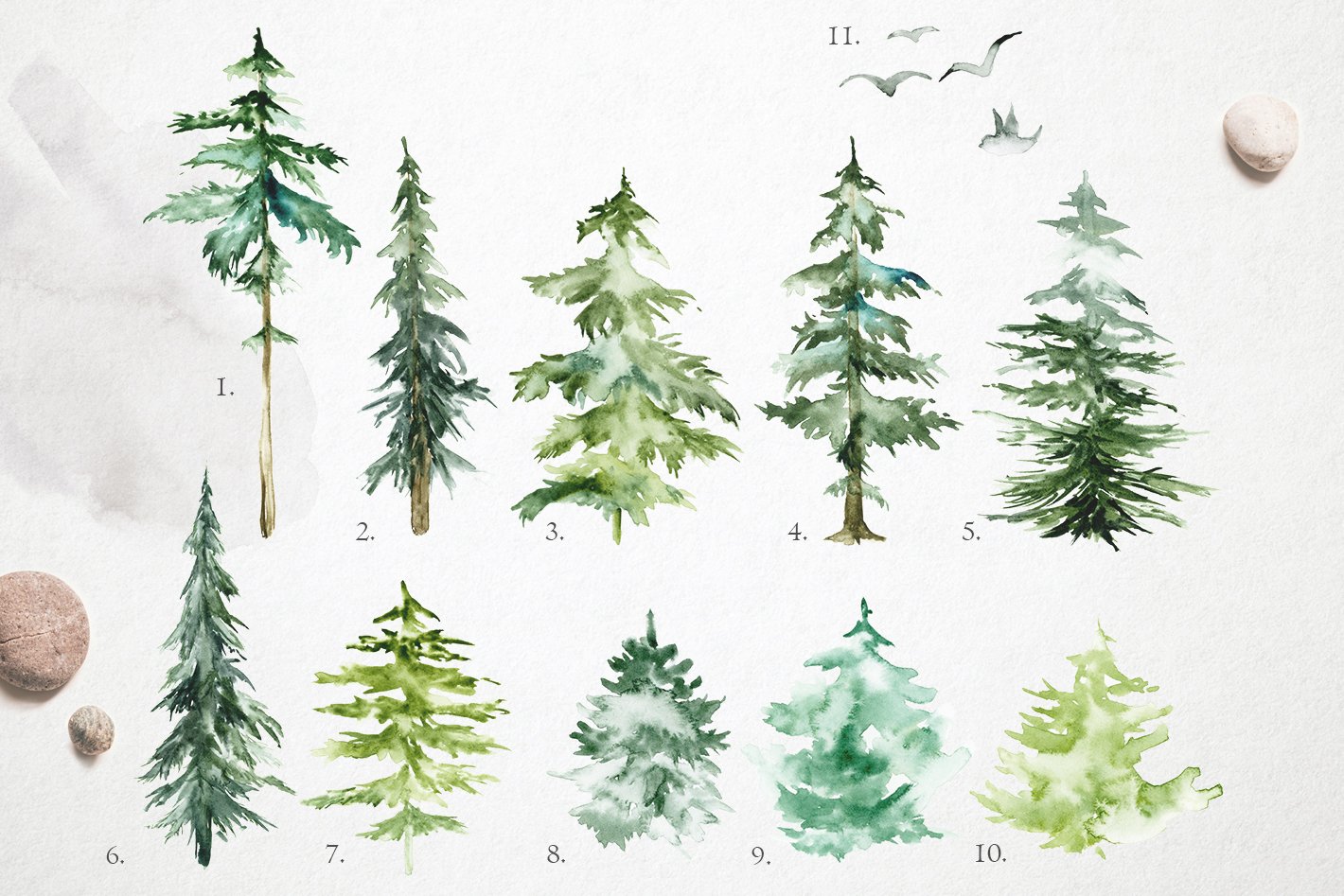 Bunch of pine trees painted with watercolors.
