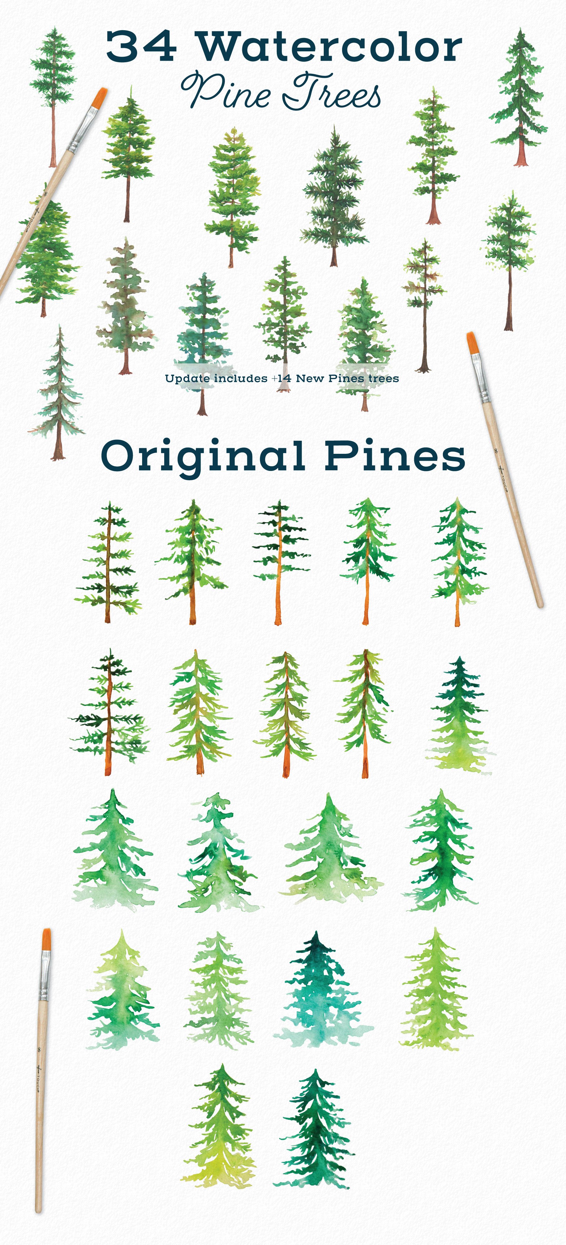 Watercolor Pine Tree Elements preview image.