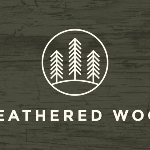 Weathered Wood Texture Brushescover image.