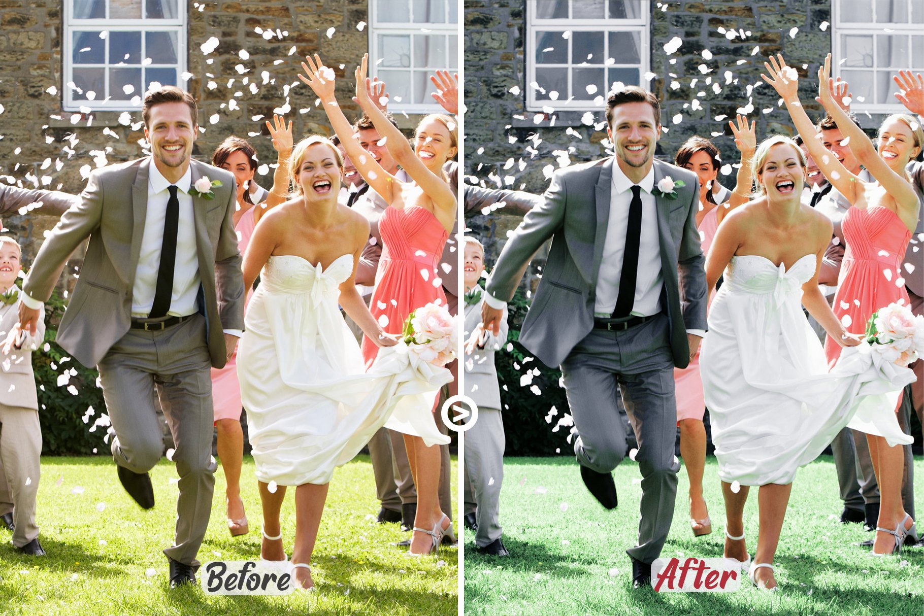 wedding luts collection 10 2 365