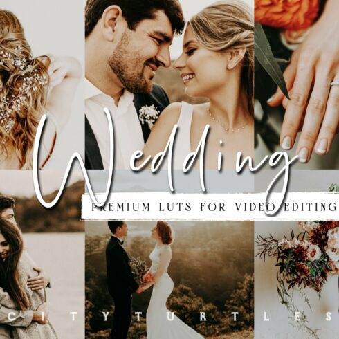 Moody Wedding LUTs for Video Editingcover image.