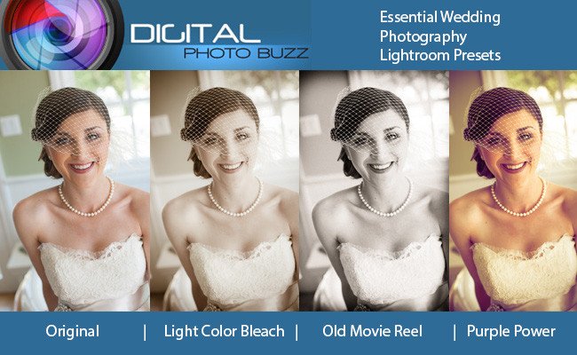 Essential Presets for Weddingspreview image.