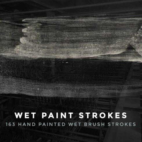 163 Wet Paint Strokes - Brush Setcover image.
