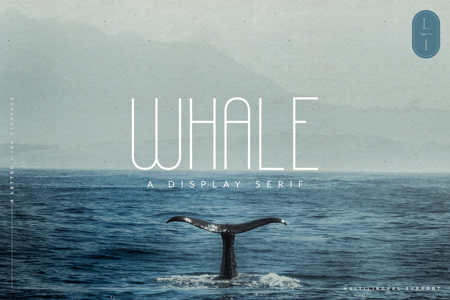 Whale Quirky Display Sans Serif cover image.