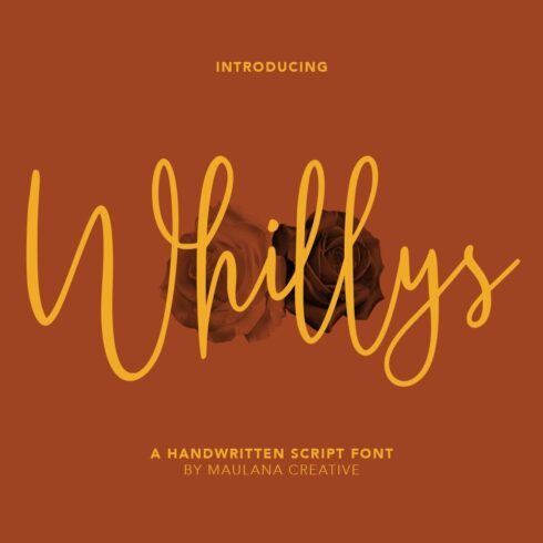 Whillys Script Font cover image.