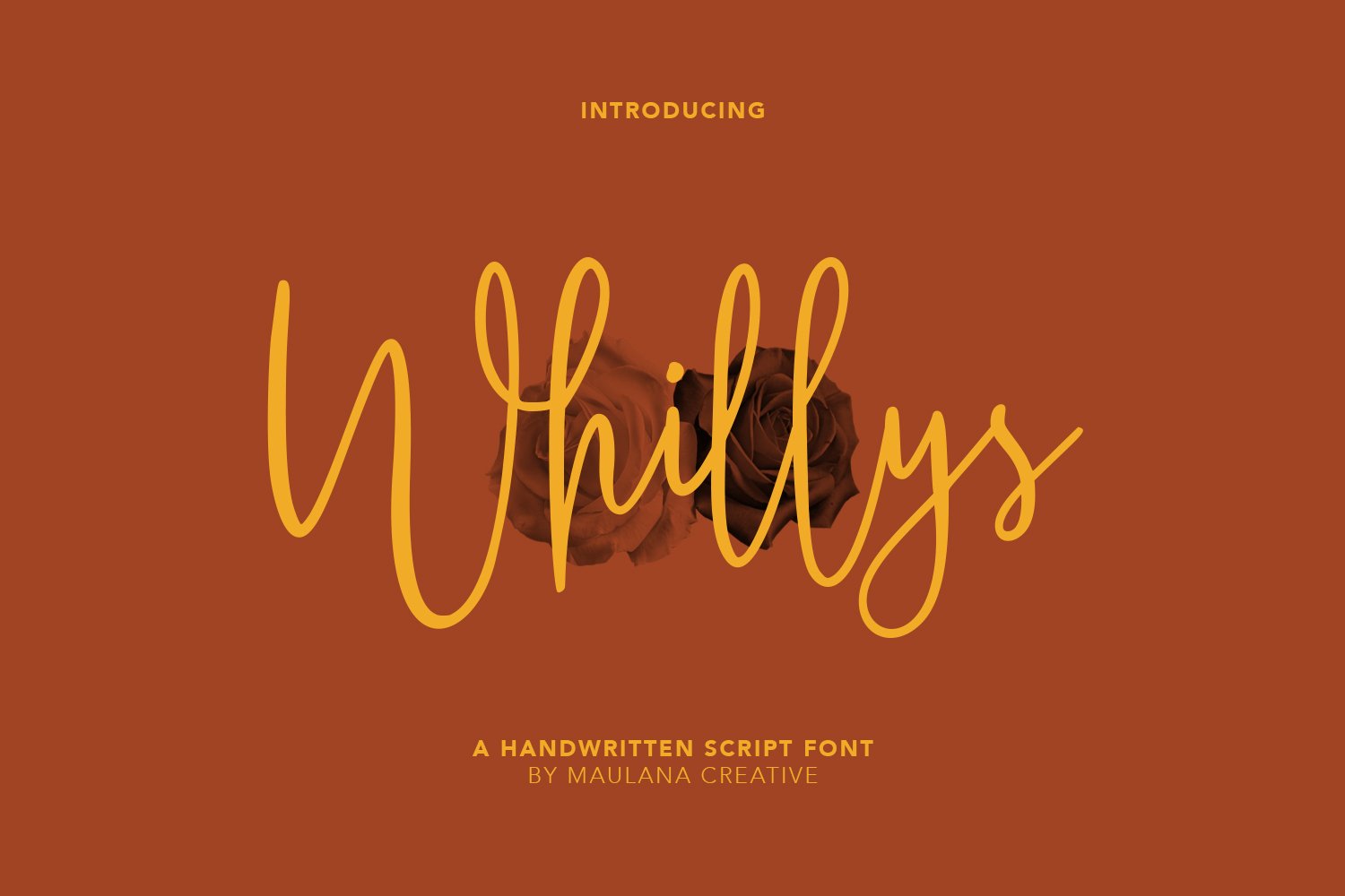 Whillys Script Font cover image.