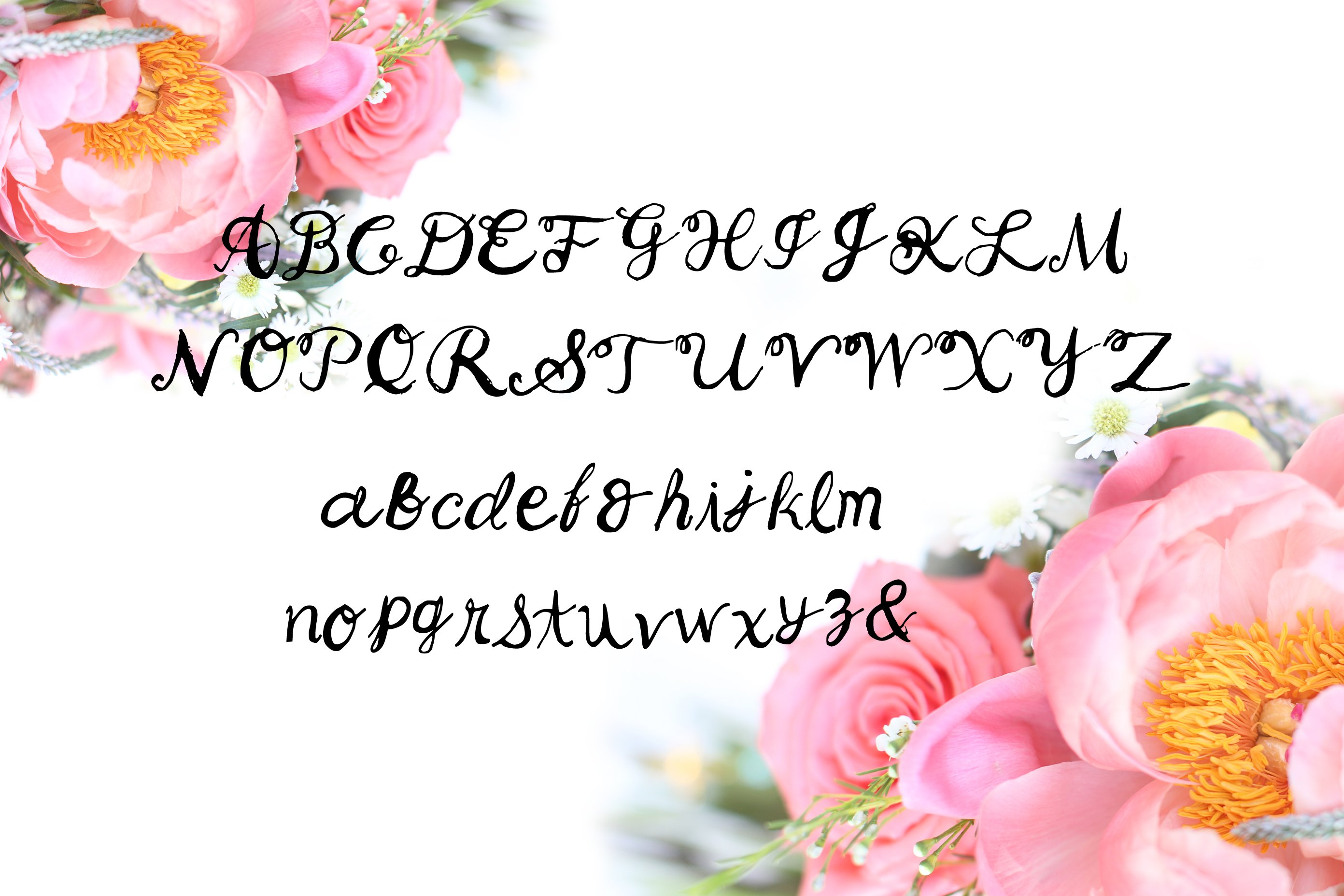 Songbird whimsical font by Kay preview image.