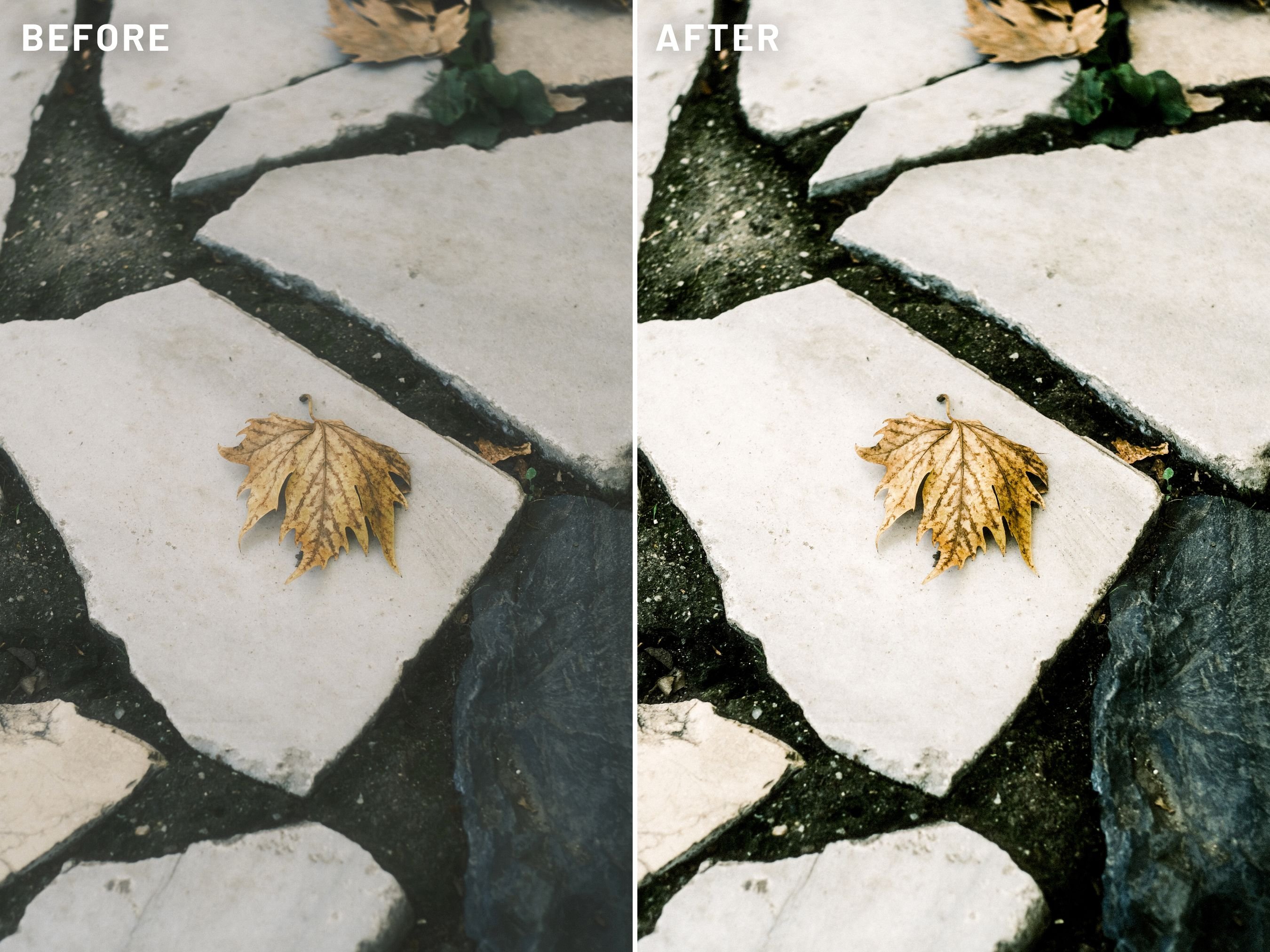 White Lightroom Presets XMP/DNGpreview image.