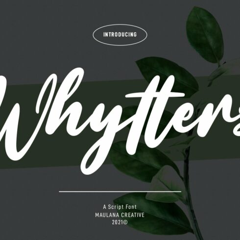 Whytters Script Font cover image.