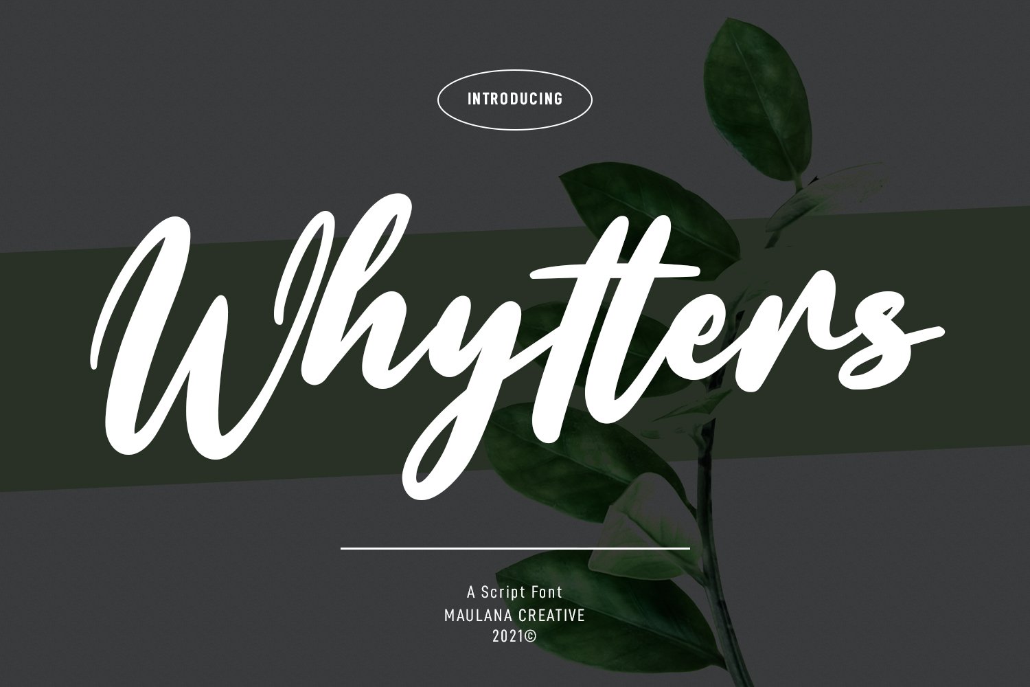 Whytters Script Font cover image.