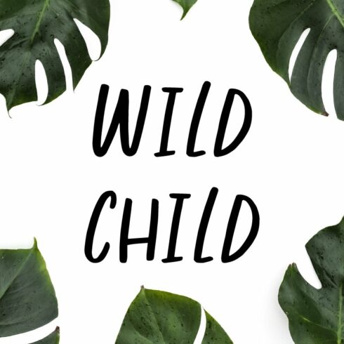 Wild Child - Fun Handwritten Font cover image.