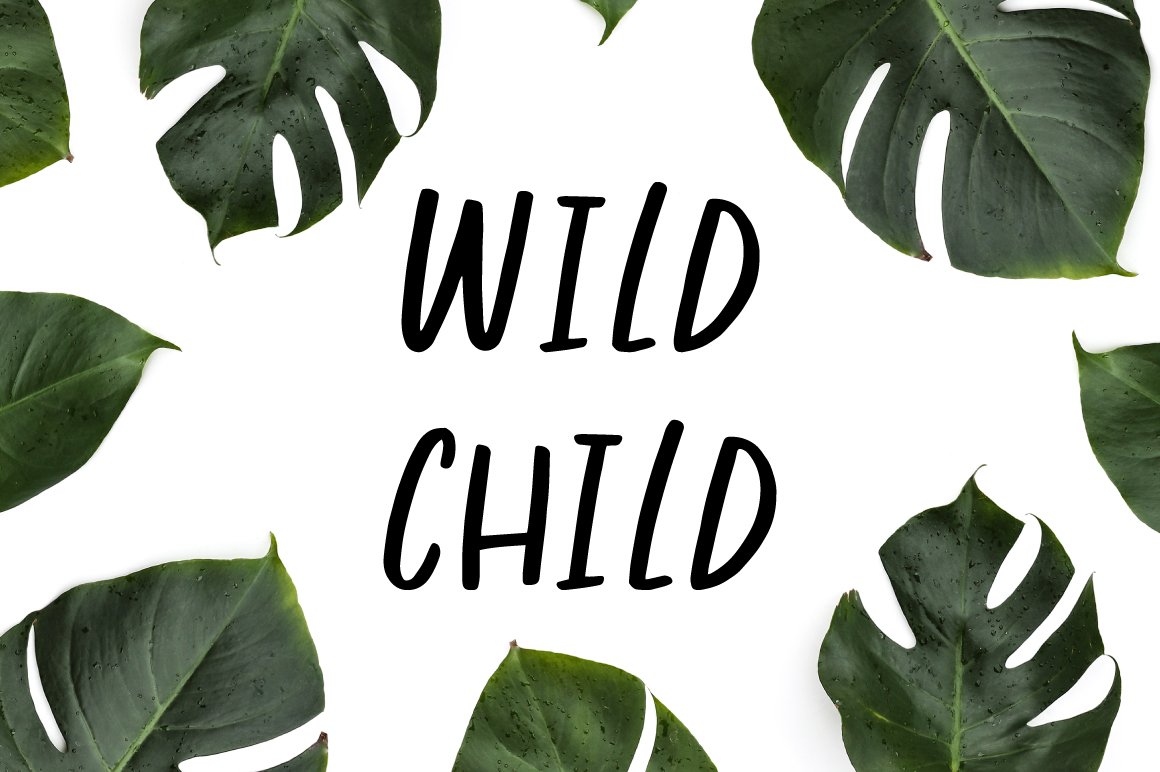 Wild Child - Fun Handwritten Font cover image.