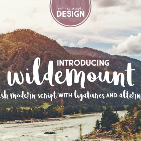 Wildemount cover image.