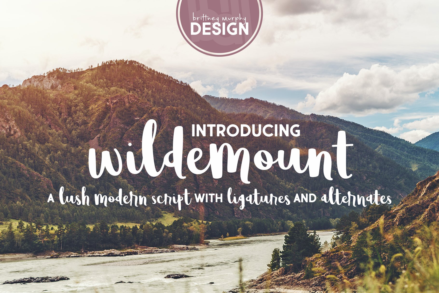 Wildemount cover image.