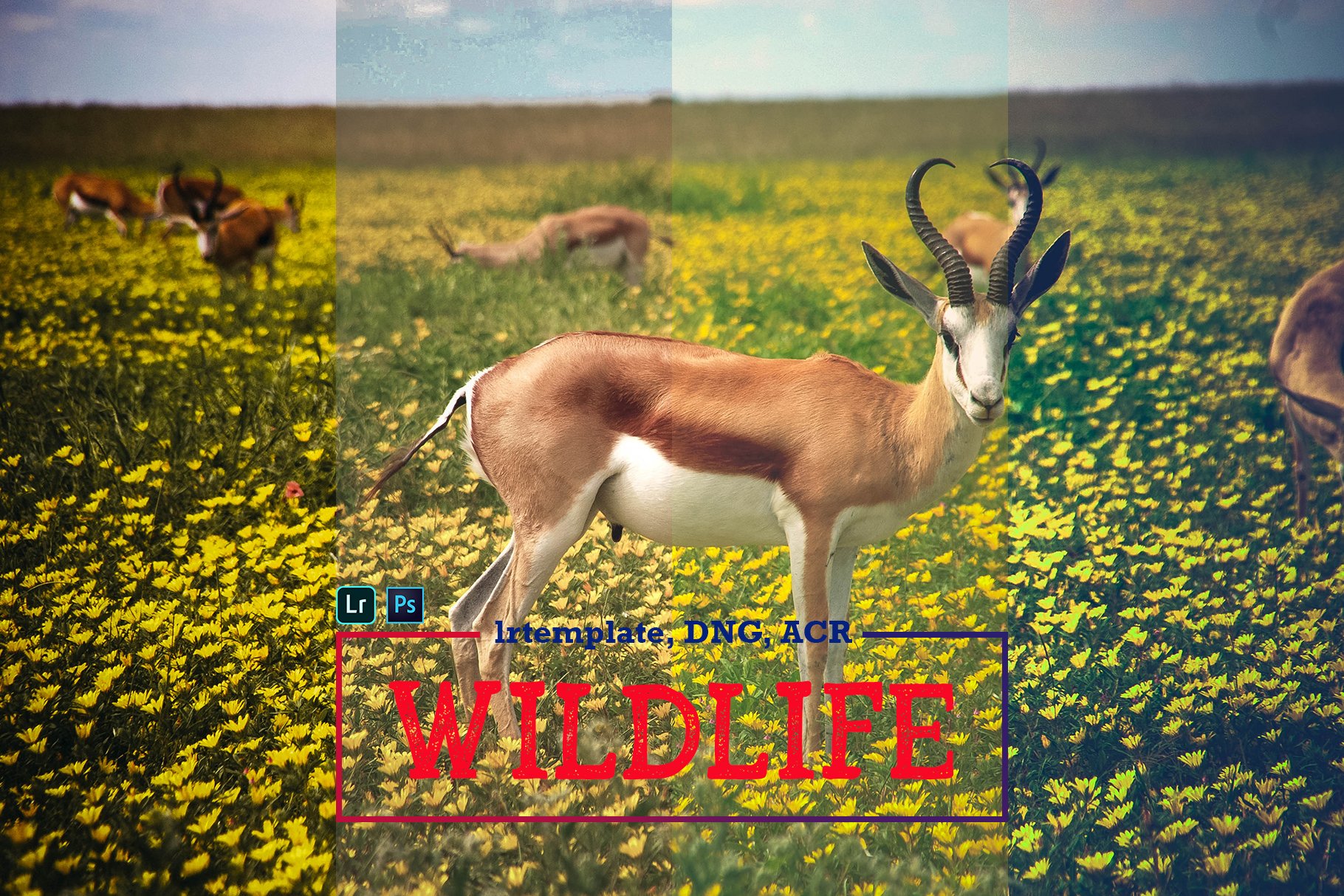 Wildlife Mobile LR and ACR Presetscover image.