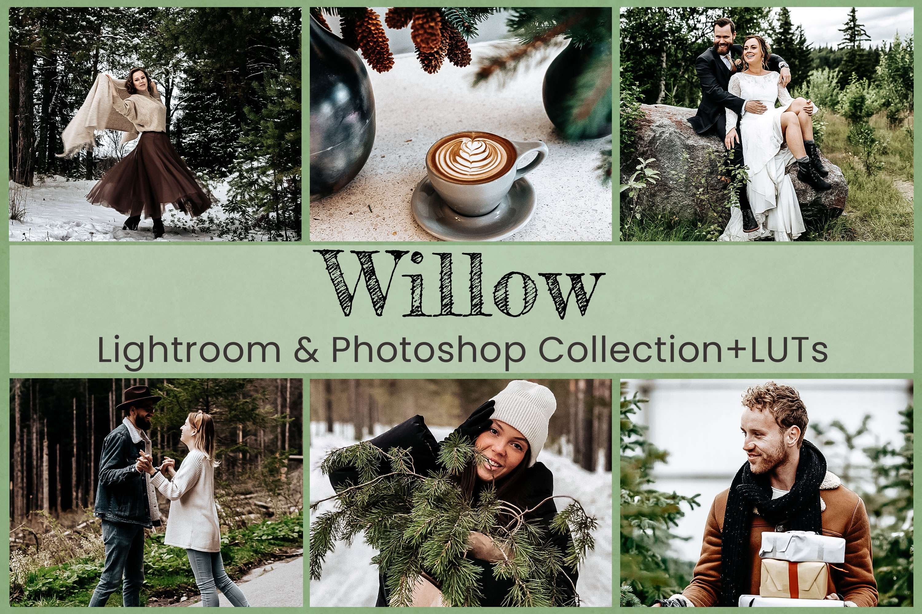 willow main poster 463