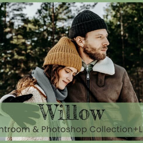 8 Willow Photoshop Actions Wintercover image.