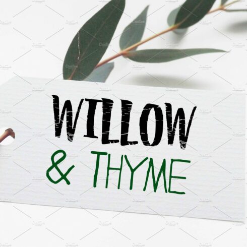 Willow & Thyme with Logo Ornaments cover image.