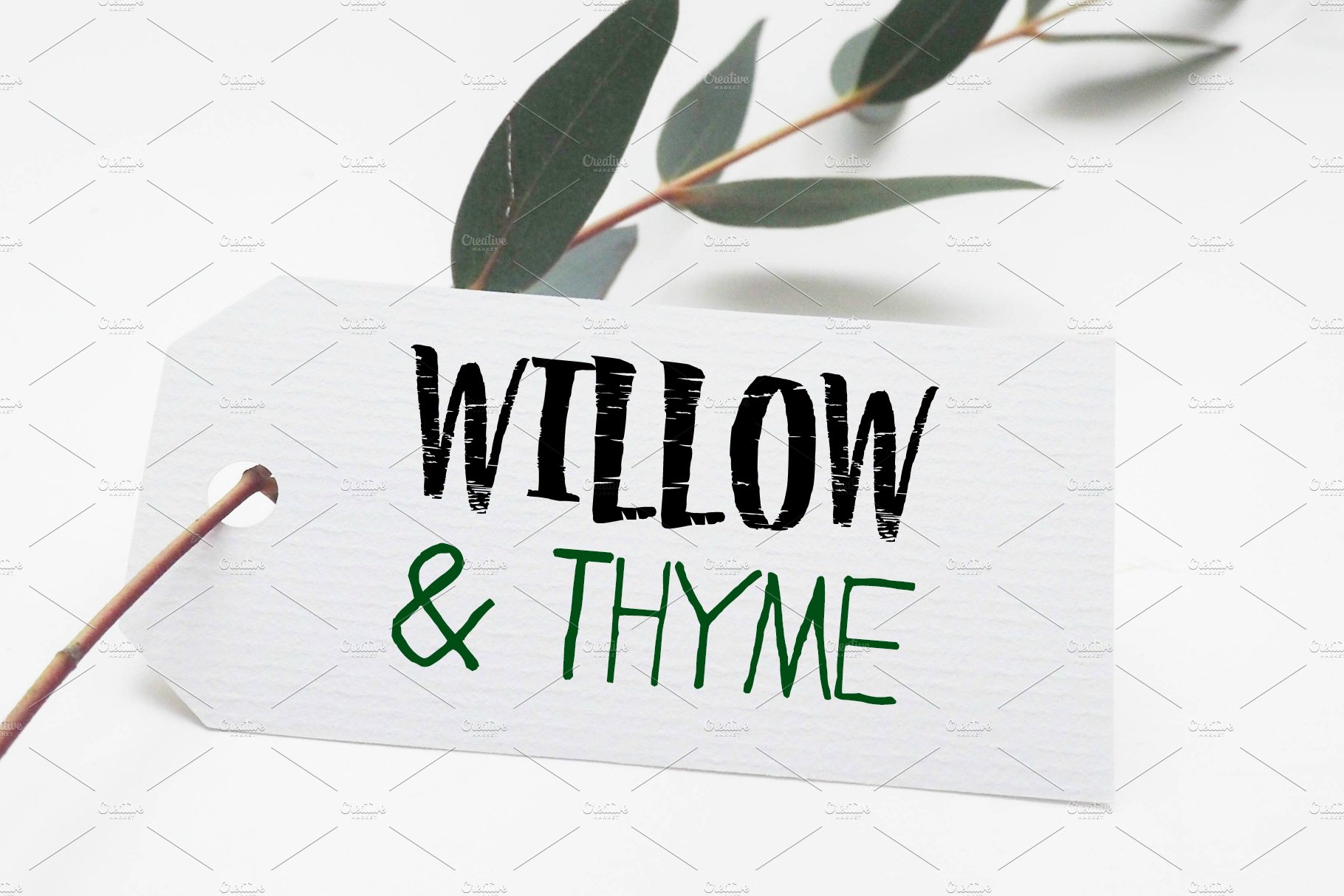 Willow & Thyme with Logo Ornaments cover image.