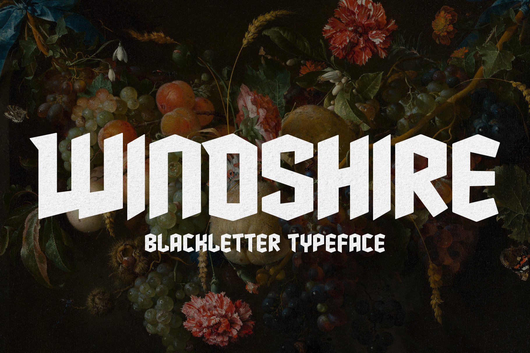 Windshire - Blackletter Typeface cover image.