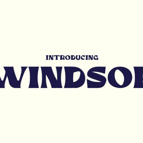 Windsor - Asia Inspired Typeface cover image.