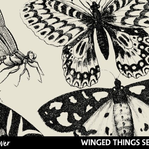 Vintage Winged Things Brushes & PNGscover image.