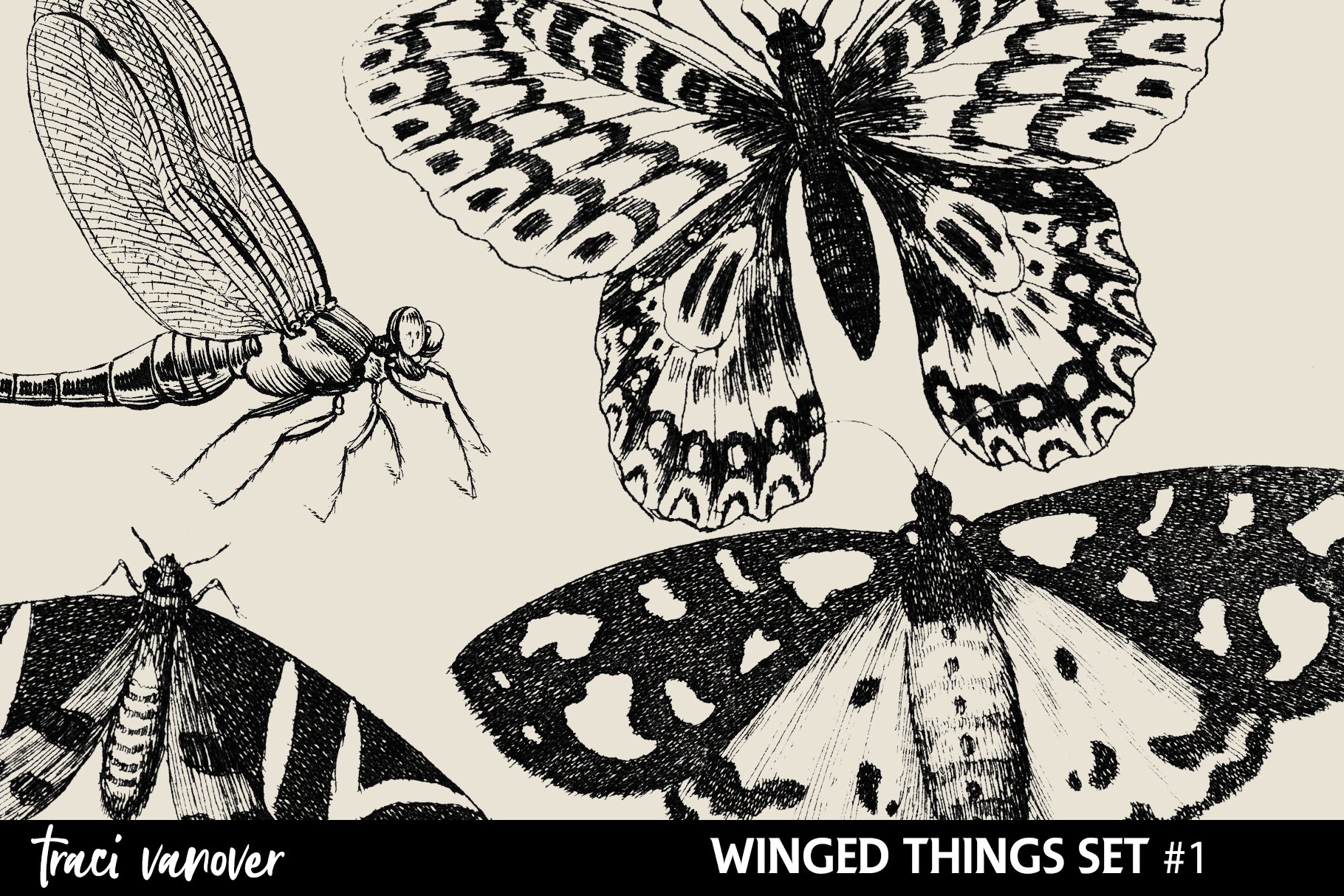 Vintage Winged Things Brushes & PNGscover image.