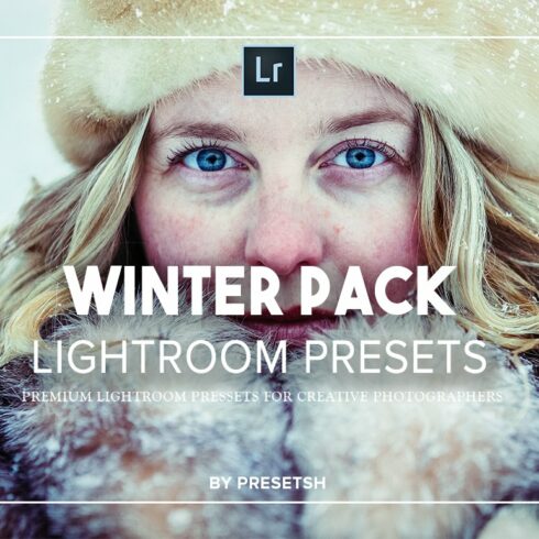 Pro Winter lightroom presetscover image.