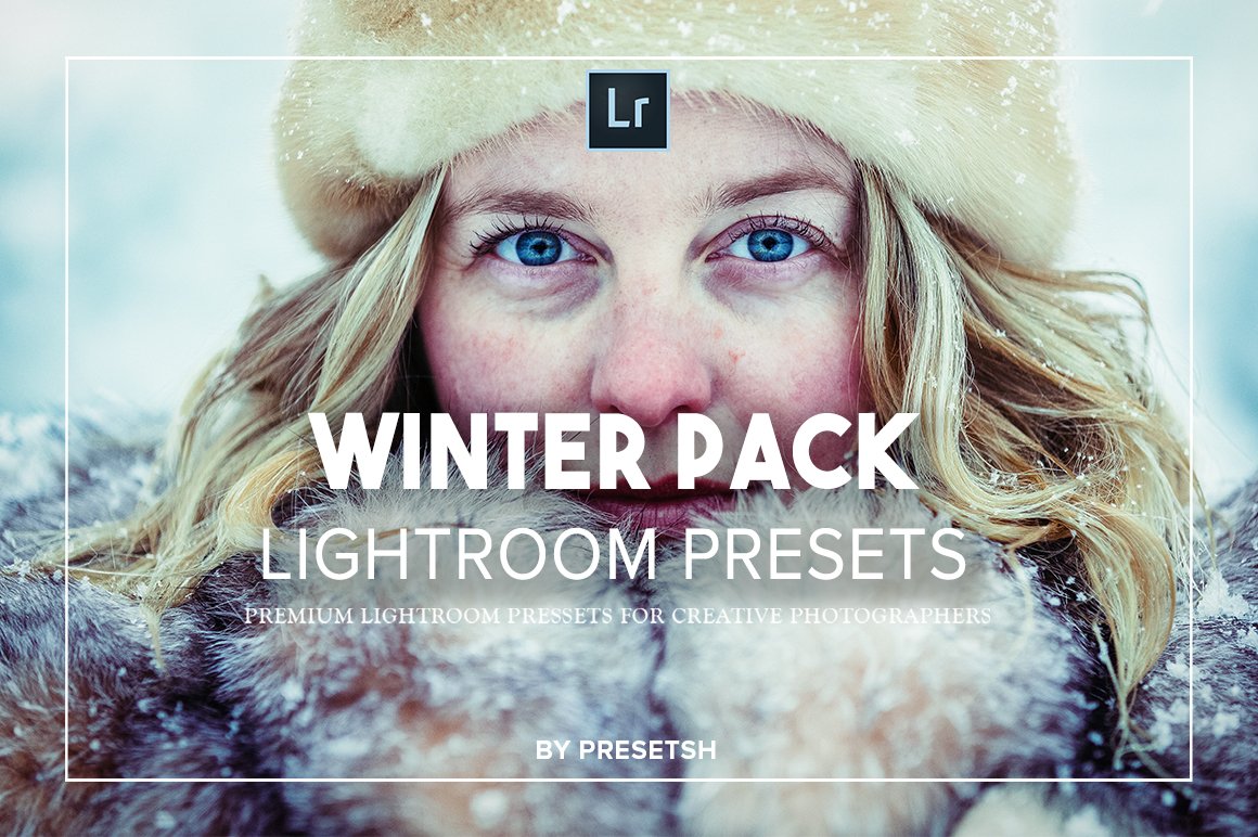 Pro Winter lightroom presetscover image.