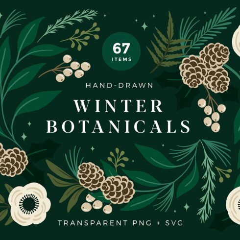 Christmas Botanical Illustrations cover image.