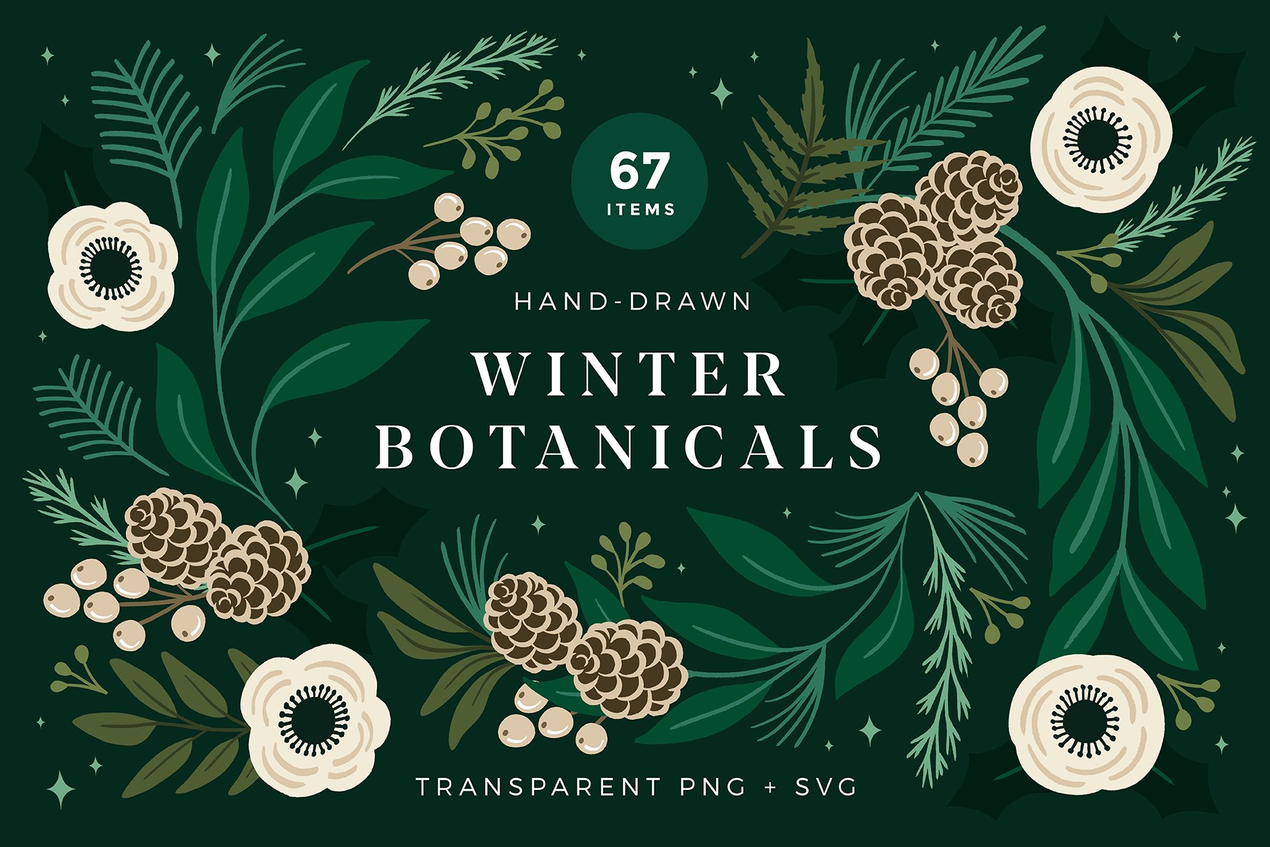 Christmas Botanical Illustrations cover image.