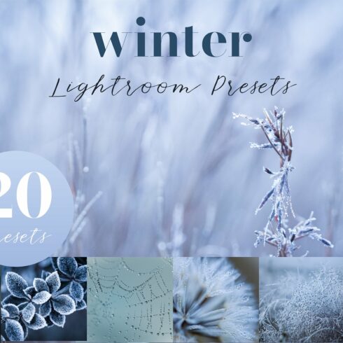 Winter Lightroom Presetscover image.