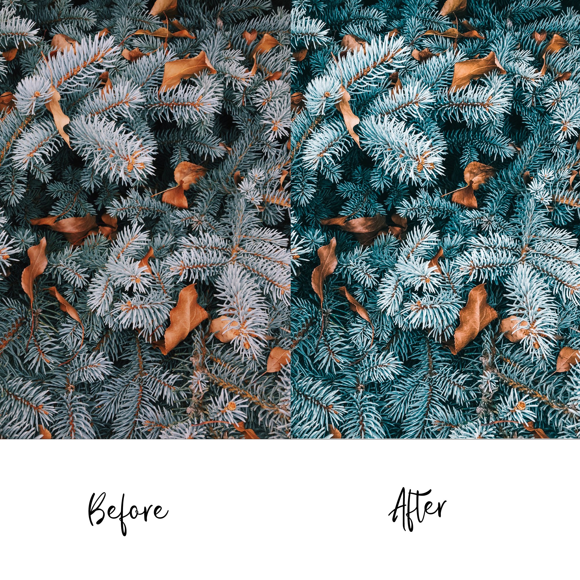 winter love before after2 187