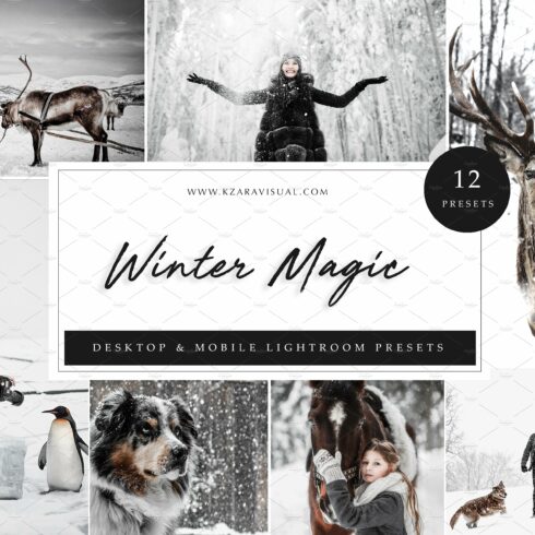 12 x Lightroom Presets, Winter Magiccover image.