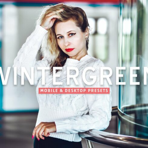 Wintergreen Pro Lightroom Presetscover image.