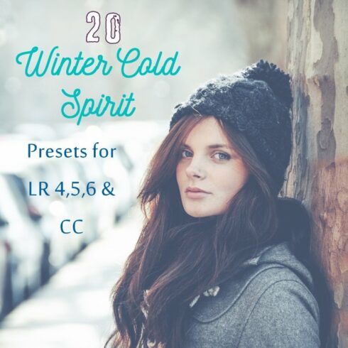 Pack 20 LR Presets Winter timecover image.