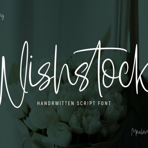 Wishstock Handwritten Script Font cover image.