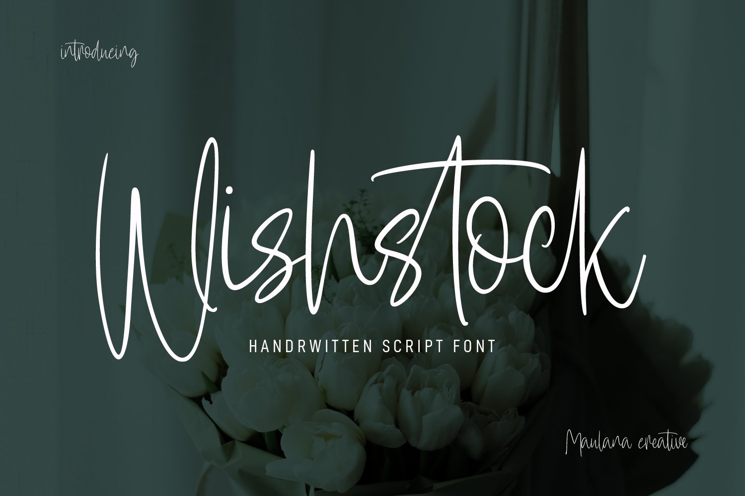 Wishstock Handwritten Script Font cover image.