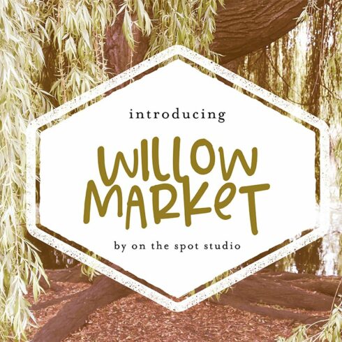 Willow Market + Bonus Script cover image.