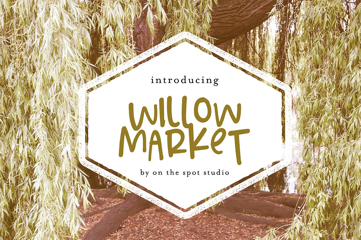 Willow Market + Bonus Script cover image.