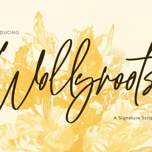 Wollyroots Signature Script Font cover image.