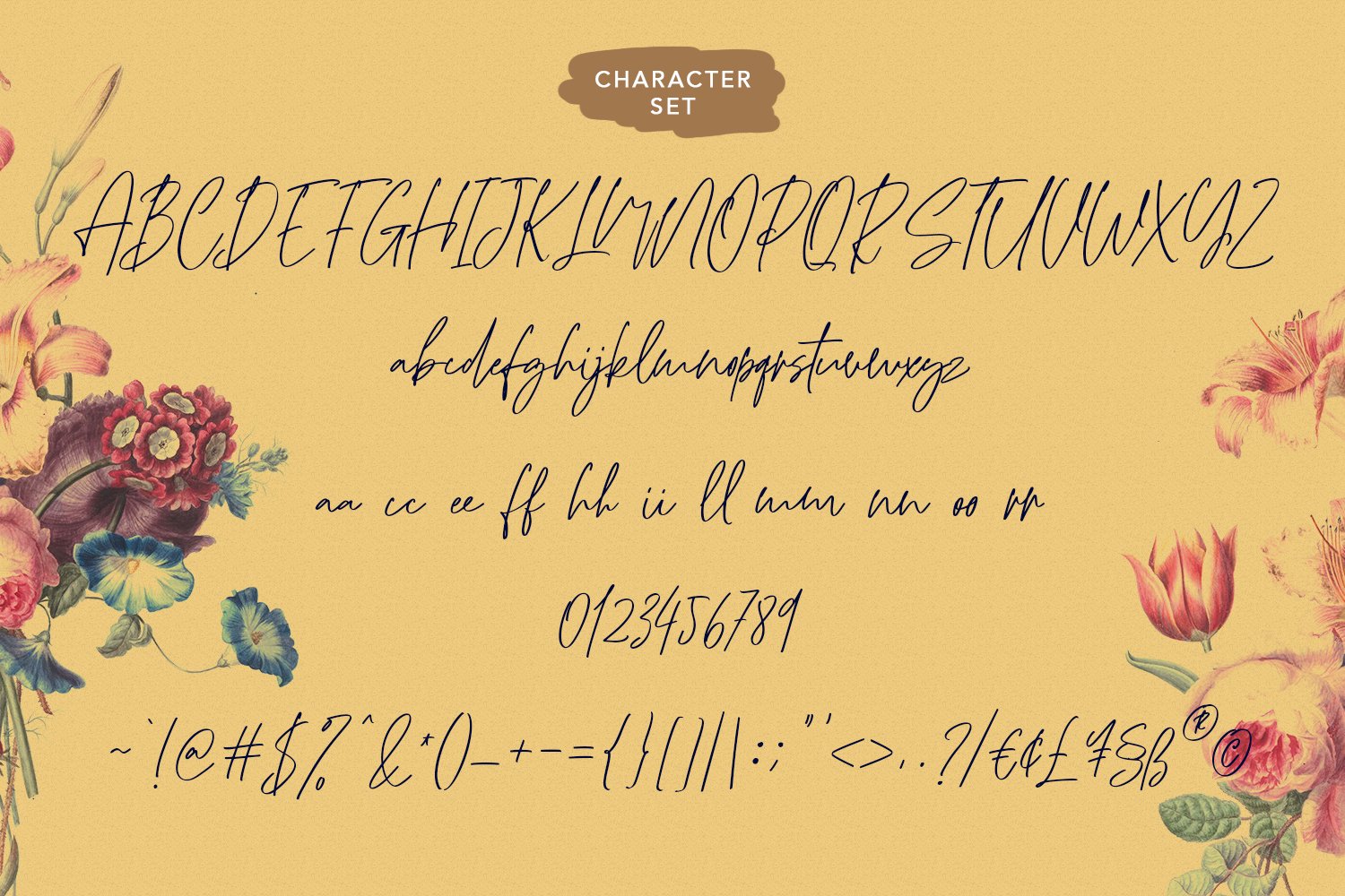 wollyroots signature script font8 900