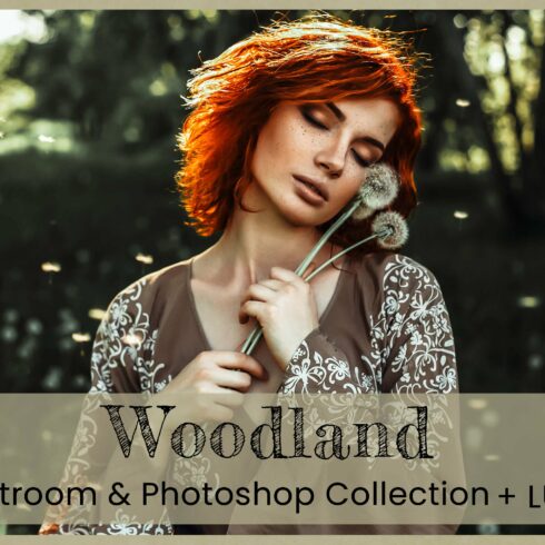 Woodland Photoshop Actions Lightroomcover image.