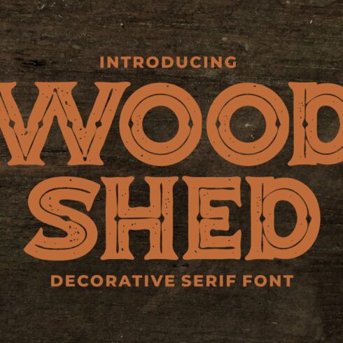 Woodshed - Decorative Serif Fontcover image.